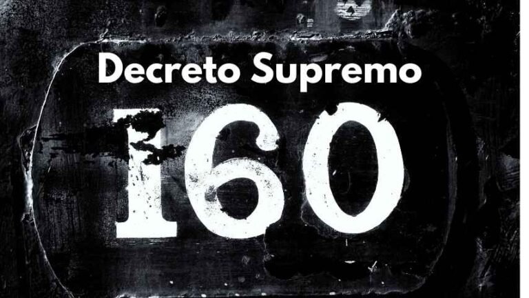 What is Decreto Supremo 160?